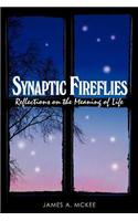 Synaptic Fireflies