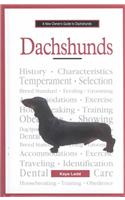 A New Owners Guide to Dachshunds