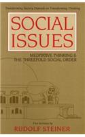 Social Issues: Meditative Thinking & the Threefold Social Order (Cw 334)