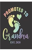 Promoted To Grandma Est. 2020