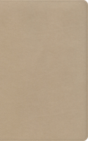CSB Large Print Personal Size Reference Bible, Gold Leathertouch