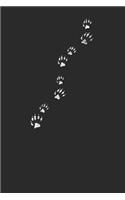 Racoon Paw Prints: Racoons Notebook, Dotted Bullet (6 x 9 - 120 pages) Animal Themed Notebook for Daily Journal, Diary, and Gift