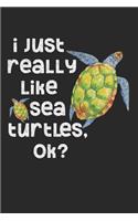 I Just Really Like Sea Turtles, OK?
