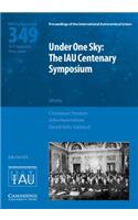 Under One Sky: The Iau Centenary Symposium (Iau S349)