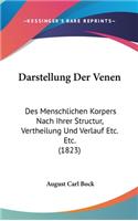 Darstellung Der Venen