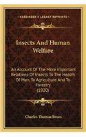 Insects and Human Welfare