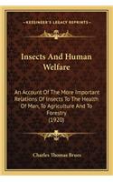 Insects and Human Welfare