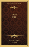 Echinus (1900)