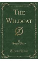 The Wildcat (Classic Reprint)