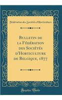 Bulletin de la Fï¿½dï¿½ration Des Sociï¿½tï¿½s d'Horticulture de Belgique, 1877 (Classic Reprint)