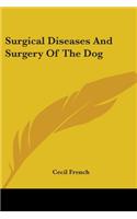 Surgical Diseases And Surgery Of The Dog