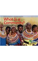 What Is a Community?