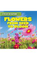 Flowers: From Seed to Bloom