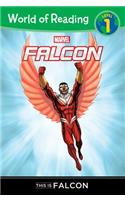 World of Reading: This Is Falcon: Level 1