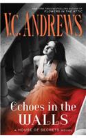 Echoes in the Walls, 2: (2 House of Secrets)