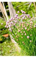 Purple Chives in an Herb Garden Journal: 150 Page Lined Notebook/Diary
