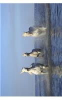 White Horses in the Ocean Surf Journal: 150 Page Lined Notebook/Diary