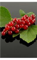 Red Currant Berries Journal: Take Notes, Write Down Memories in this 150 Page Lined Journal