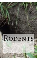 Rodents