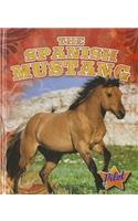 The Spanish Mustang