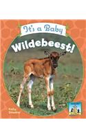 It's a Baby Wildebeest!: (Baby African Animals)