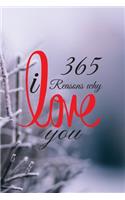 365 Reasons why i love you