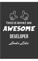 This Is What An Awesome Developer Looks Like Notebook