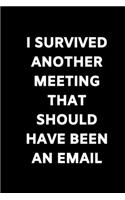 I survived another meeting that should have been an email