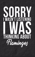 Sorry I Wasn't Listening I Was Thinking About Flamingos