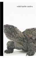 wild turtle notes