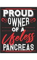 Proud Owner Of A Useless Pancreas: Funny Diabetic Diabetes Joke Dad Composition Notebook 100 College Ruled Pages Journal Diary
