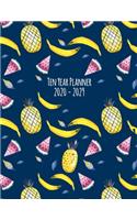 Ten Year Planner: 2020-2029 Monthly Calendar - Tropical Fruits