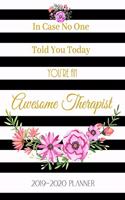 In Case No One Told You Today You're an Awesome Therapist: 2019-2020 Planner Appointment Scheduler for Health Professionals