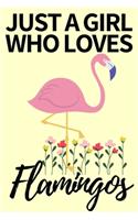 Just A Girl Who Loves Flamingos