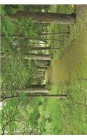 Nature Path Through a Latvia Park with Lovely Trees Journal