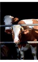 Two Pretty Cows in the Cowshed Journal