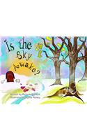 Is the Sky Awake?