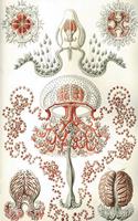 Haeckel Scientific Biological Art Notebook: Vintage Science Illustrations N°46 from "kunstformen Der Nature" / "art Forms in Nature"; Composition Journal with 120 Pages of Blank Graph Paper