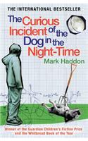 The Curious Incident of the Dog In the Night-time