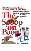 The Scoop on Poop