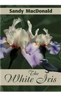 White Iris