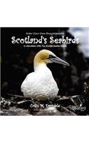 Draw Your Own Encyclopaedia Scotland's Seabirds