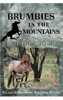 Brumbies in the Mountains