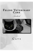 Feline Veterinary Care