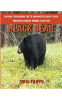 Black Bear