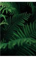 Plants Notebook: 150 Lined Pages, Softcover, 6 X 9