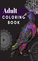 Adult Coloring Book