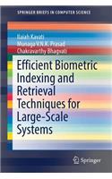 Efficient Biometric Indexing and Retrieval Techniques for Large-Scale Systems