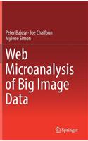 Web Microanalysis of Big Image Data