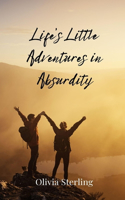 Life's Little Adventures in Absurdity